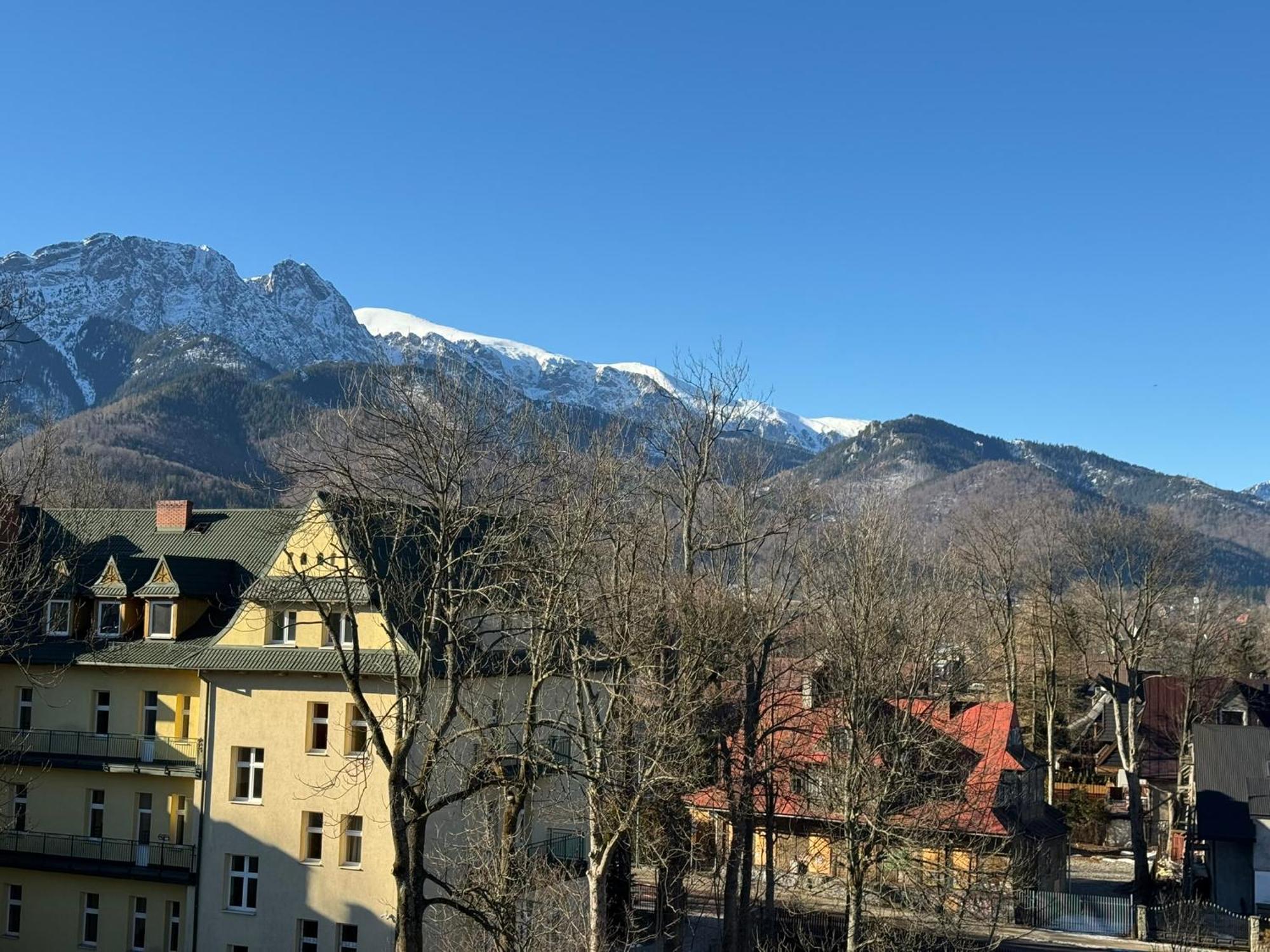 Dafne Zakopane Bed & Breakfast Exterior photo